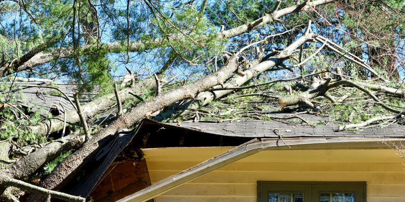 Storm Damage Insurance Claim in Tampa Florida