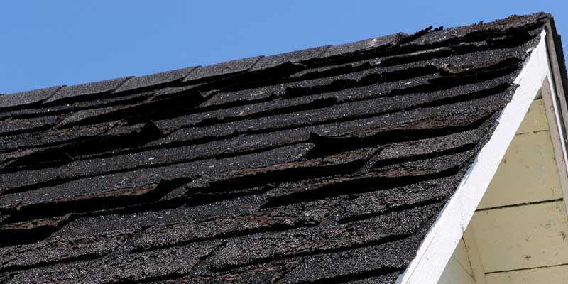 Warning Signs You Need Roof Repair